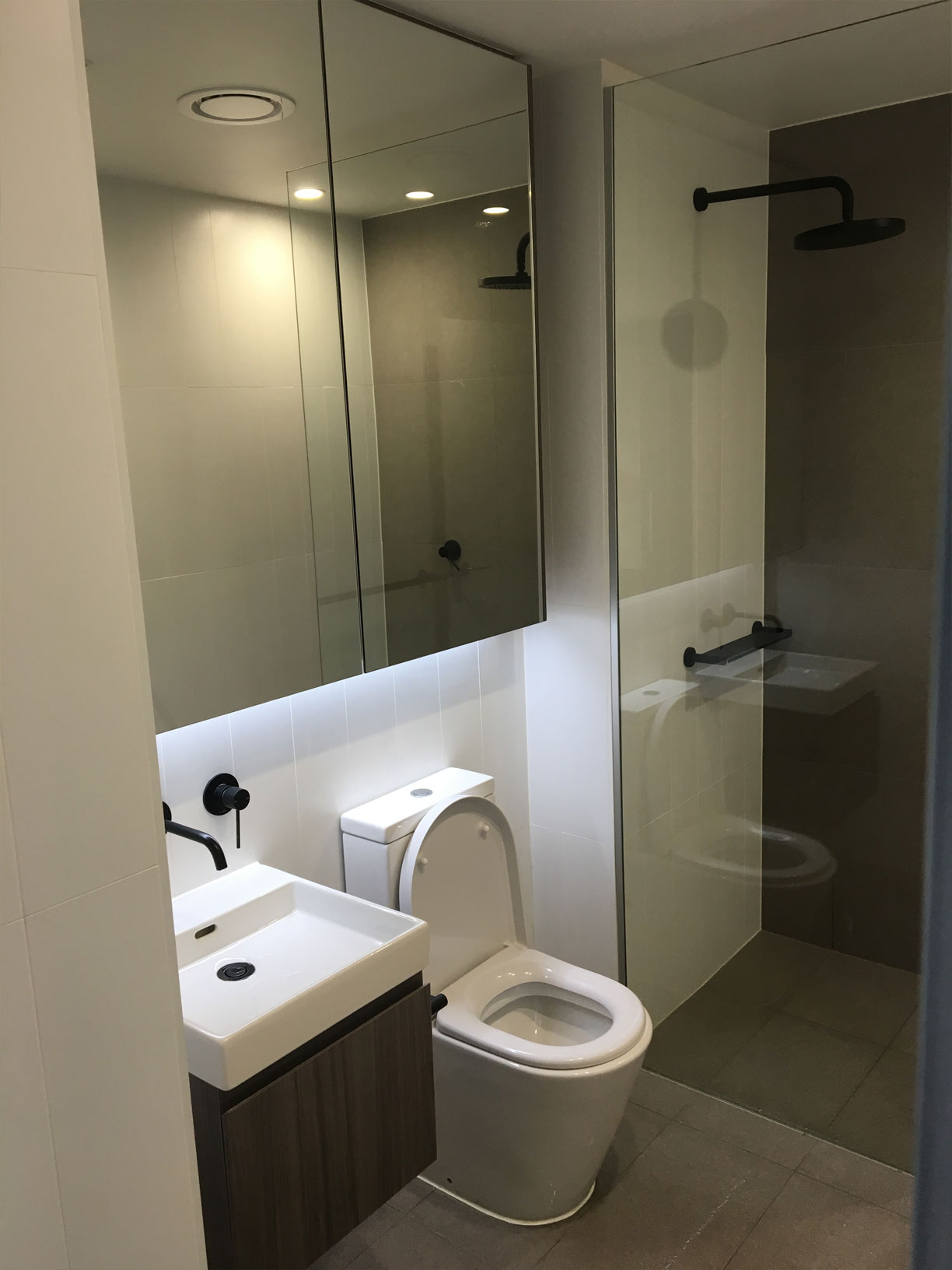 Bathroom Renovations Windsor